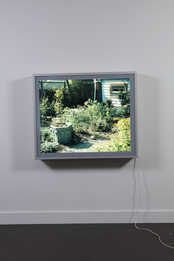 Jeff Wall