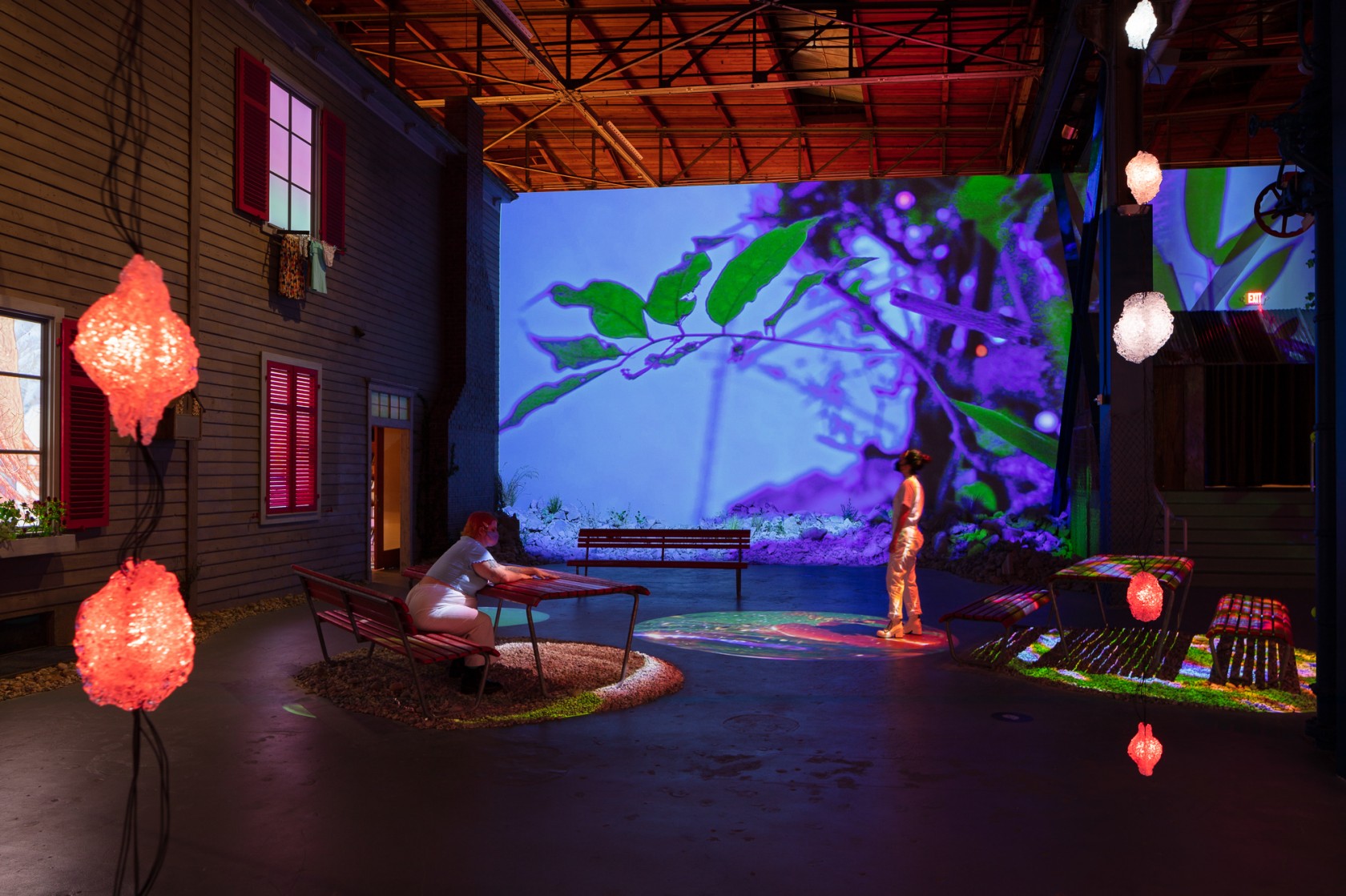 Cauleen Smith on Pipilotti Rist: Big Heartedness Be My Neighbor