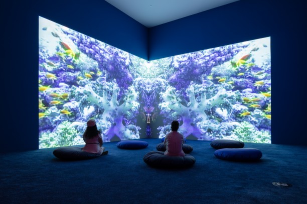 Curator-led Walkthrough of Pipilotti Rist: Big Heartedness, Be My Neighbor