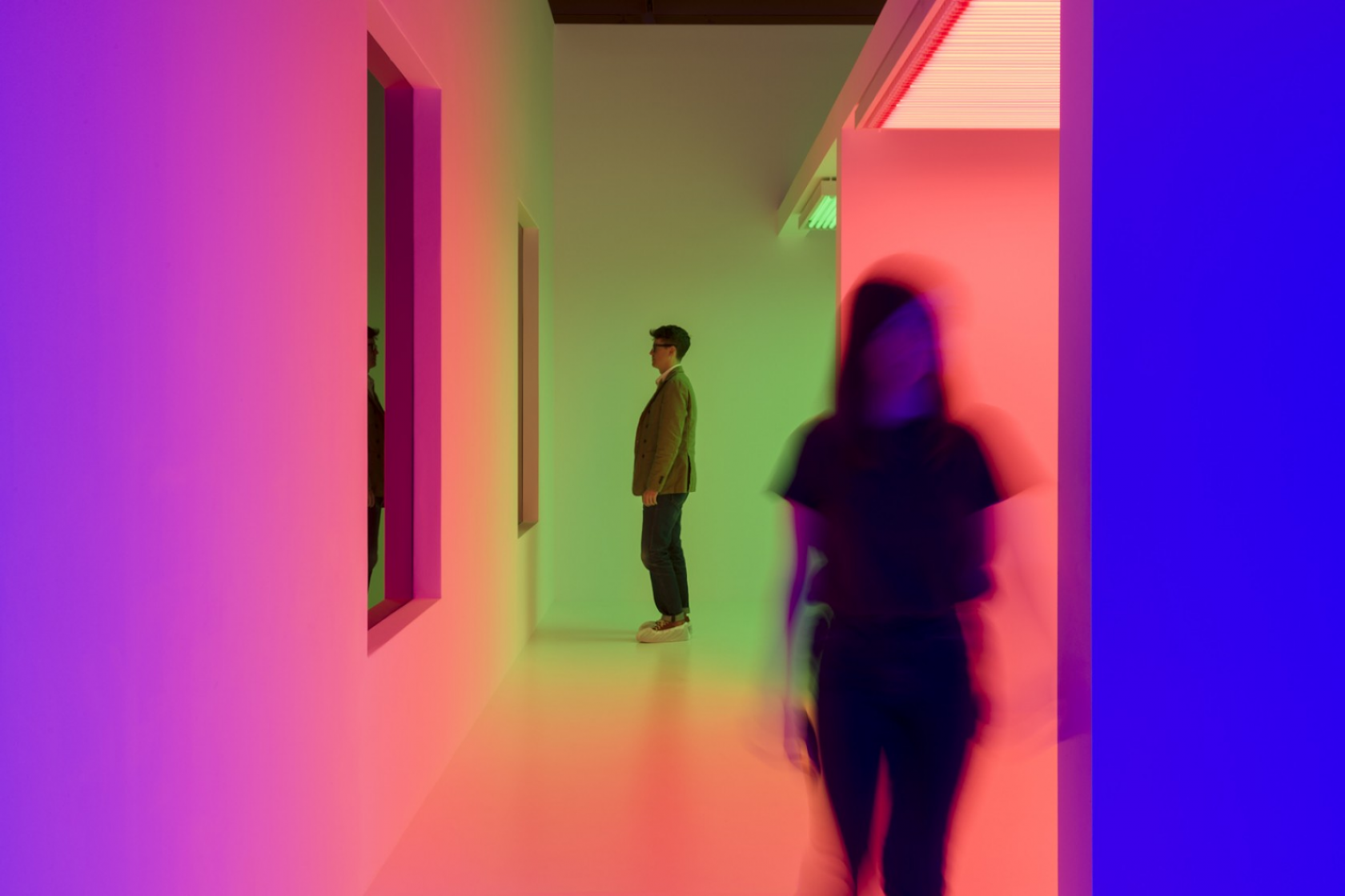 Curator-led Walkthrough