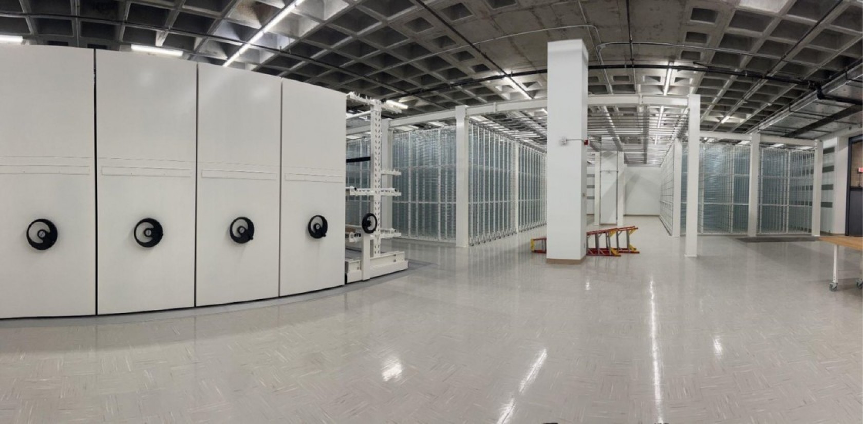 Behind-the-Scenes MOCA Vault Tour