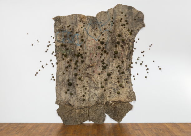 Curator-led walkthrough of MOCA Focus: Eddie Rodolfo Aparicio