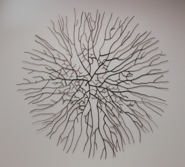 Mycelium
