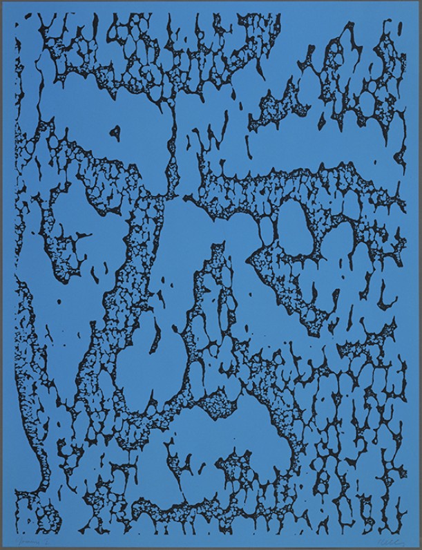Jack/Blue