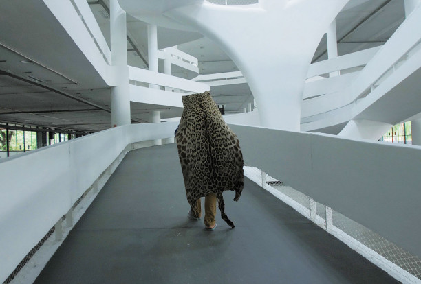 MOCA Artist Film Series: Edgar Calel
