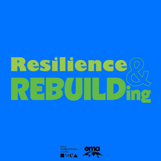 Resilience & Rebuilding: Learning from Other Cities