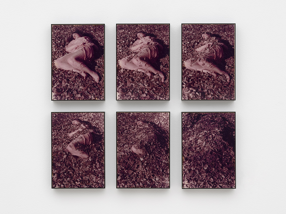 Leaves, A Self Portrait, 1973, Nancy Youdelman. Six color photographs in Plexiglas artist's frames. The Museum of Contemporary Art, Los Angeles Gift of Olivia Marciano.